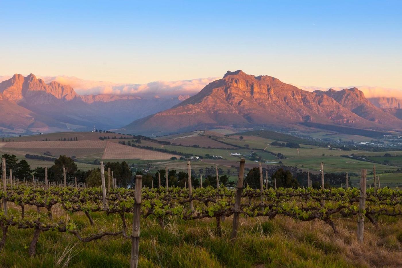 Apartamento Domaine Coutelier Stellenbosch Exterior foto